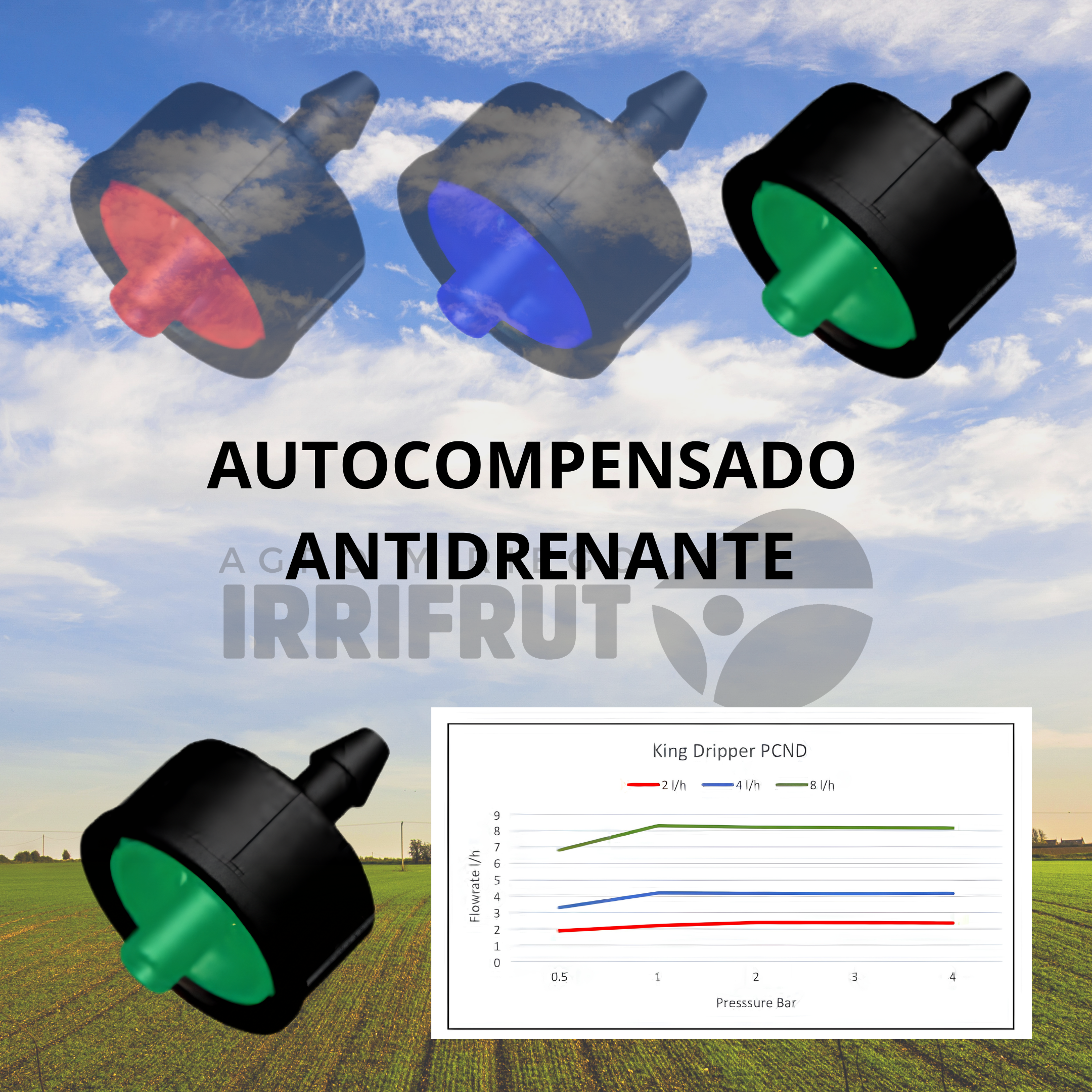 8 l/h, Rainbow Italiano (Azul)