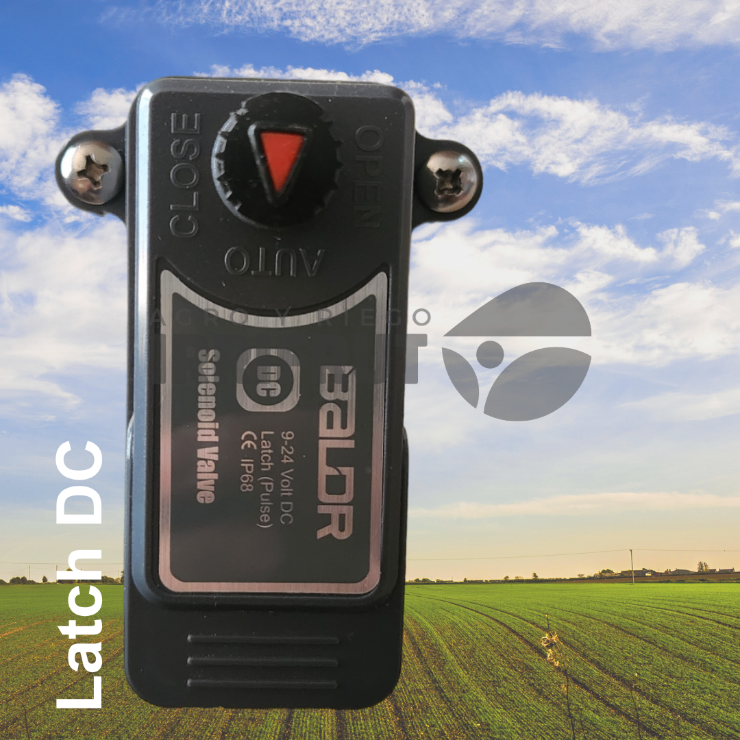Solenoides Plus