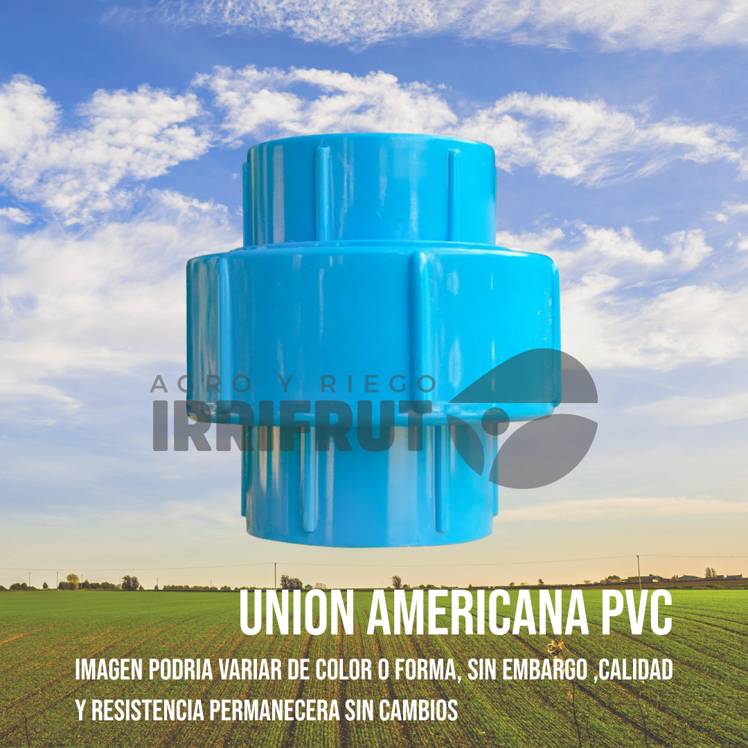 Union Americana