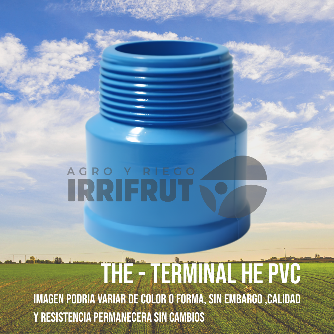 Terminal Hilo Exterior (THE)